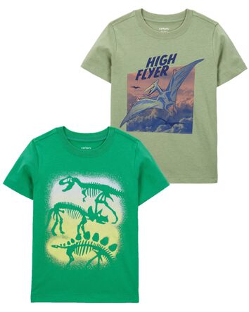 Emballage de 2 t-shirts à imprimé de dinosaure pour tout-petits, 