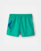 Toddler Boy Shark Swim Trunks - Green/Blue, image 2 of 4 slides