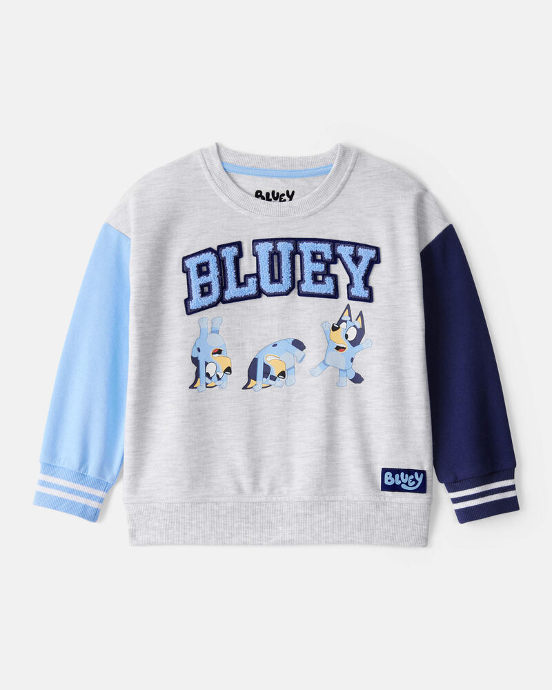 Toddler Bluey Colourblock French Terry Sweatshirt - Grey, image 1 of 3 slides