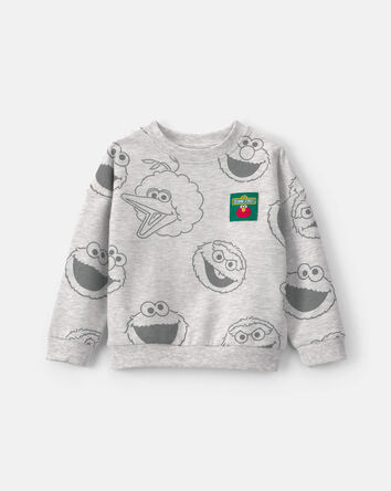Toddler Sesame Street Big Bird Pullover Sweatshirt - Grey, 