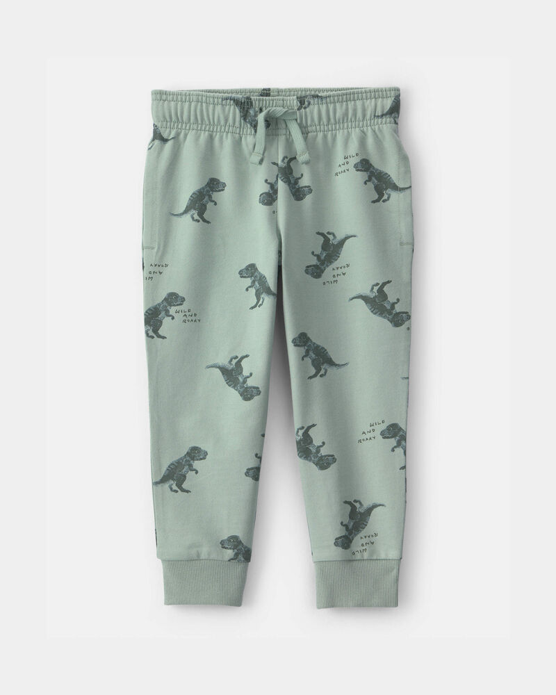 Tout-petit gar&ccedil;on - Pantalon de jogging &agrave; enfiler en jersey bouclette motif dinosaure - Vert, image 1 sur 3 diapositives