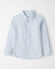 Blue Gingham