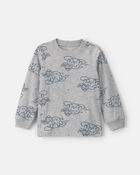 Tout-petit gar&ccedil;on &ndash; T-shirt manches longues &agrave; motif dinosaure &ndash; Gris, image 1 sur 2 diapositives