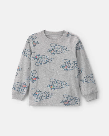 Tout-petit gar&ccedil;on &ndash; T-shirt manches longues &agrave; motif dinosaure &ndash; Gris, 