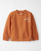 Toddler Organic Cotton Pumpkin Pie Sweatshirt, image 1 of 5 slides