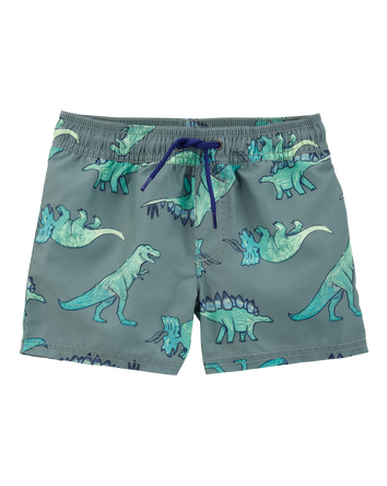 Toddler Dinosaur Swim Trunks, 