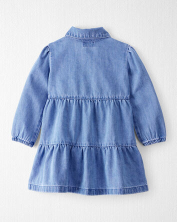 Toddler Girl Organic Cotton Chambray Dress, 