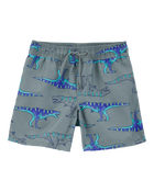 Kid 2-Piece Dinosaur Rashguard & Swim Trunk Set, image 6 of 8 slides