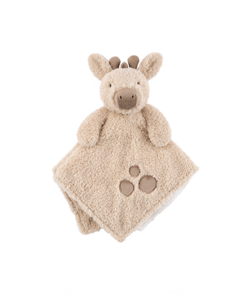 Blankets & Plush Toys