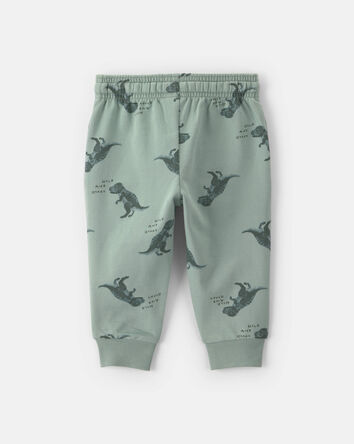 Baby Boy Dinosaur French Terry Jogger - Green, 