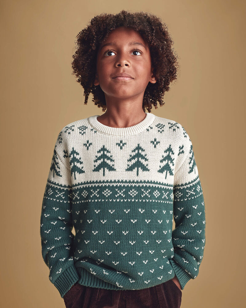 Kids Organic Cotton Fair Isle Sweater Knit Pullover, image 5 of 6 slides