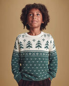 Kids Organic Cotton Fair Isle Sweater Knit Pullover, image 5 of 6 slides