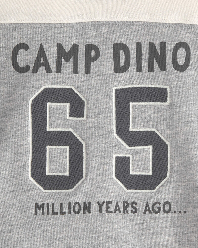 B&eacute;b&eacute; gar&ccedil;on - T-shirt &agrave; manches longues &laquo;Camp Dino&raquo; - Brun/Gris, image 4 sur 4 diapositives