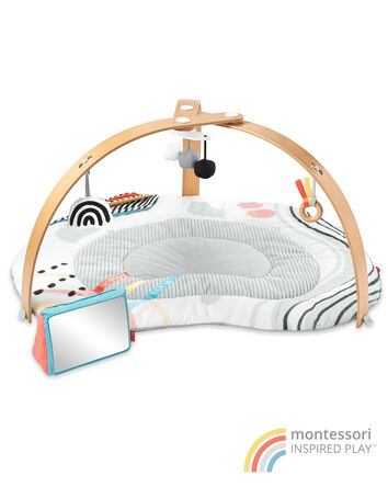 Discoverosity Play Gym, 