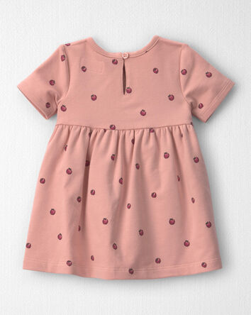B&eacute;b&eacute; fille - Robe en jersey bouclette de coton biologique &agrave; motif pomme, 