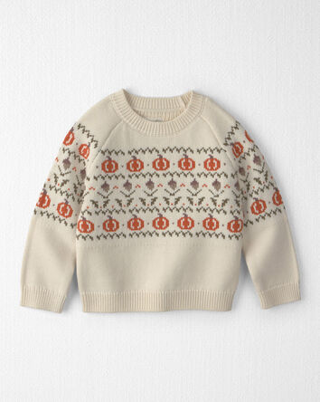 Toddler Organic Cotton Fair Isle Sweater Knit Pullover, 