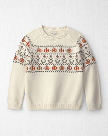 Kids Organic Cotton Fair Isle Sweater Knit Pullover, 