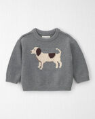 Baby Organic Cotton Dog Sweater Knit Pullover, image 1 of 4 slides
