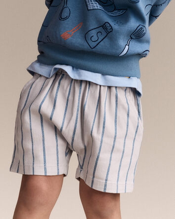 Toddler Boy Playground Shorts in Stripes - Grey, 