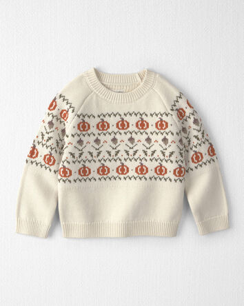 Toddler Organic Cotton Fair Isle Sweater Knit Pullover, 