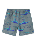Kid 2-Piece Dinosaur Rashguard & Swim Trunk Set, image 7 of 8 slides