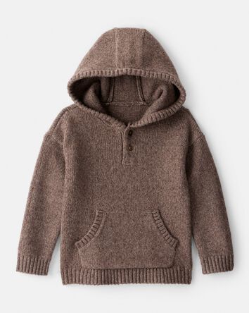 Toddler Boy Long-Sleeve Hooded Sweater - Brown, 