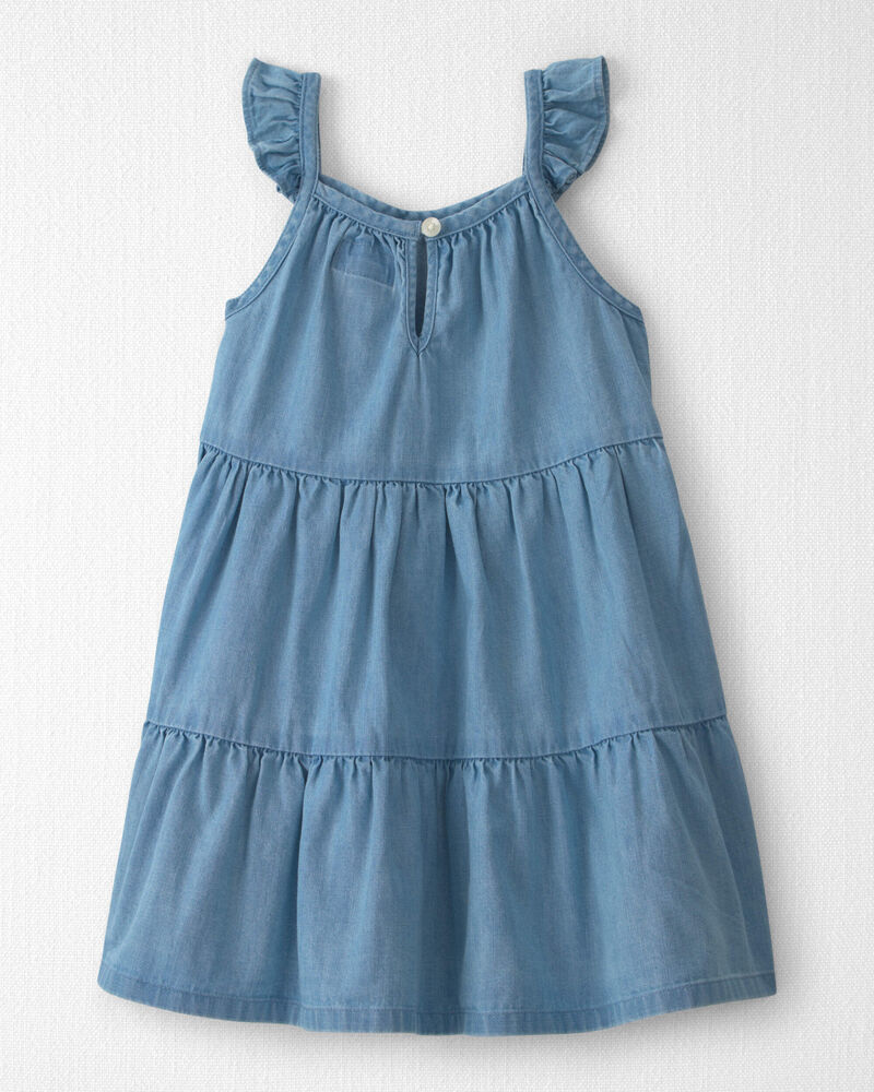 Toddler Girl Organic Cotton Chambray Dress, image 2 of 5 slides