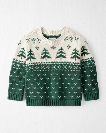 Toddler Organic Cotton Fair Isle Sweater Knit Pullover, 