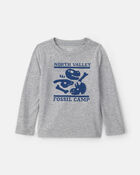 Tout-petit gar&ccedil;on - T-shirt manches longues &agrave; imprim&eacute; dinosaures &laquo;North Valley Fossil Camp&raquo; - Gris, image 1 sur 2 diapositives
