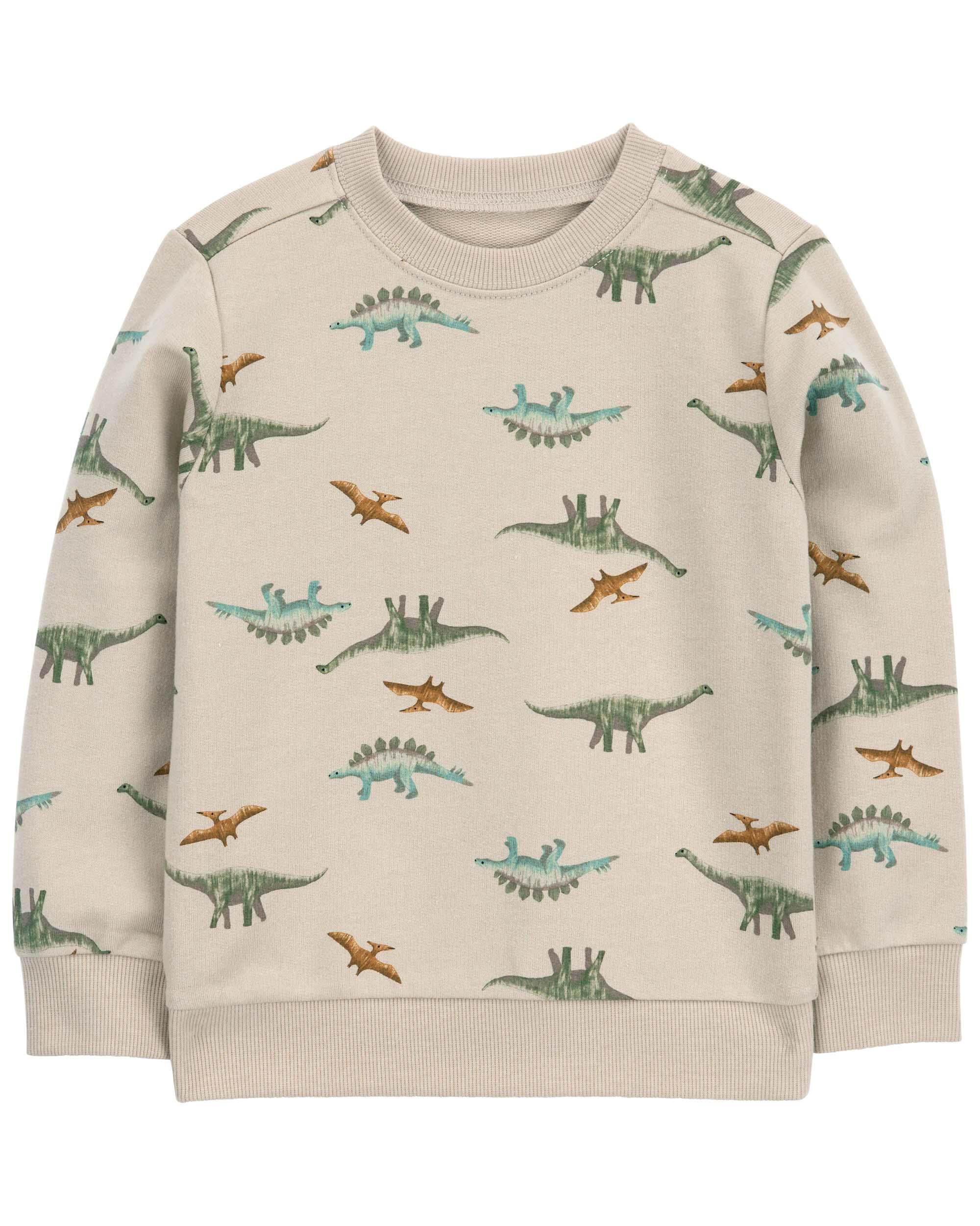 Dinosaur pullover 2025