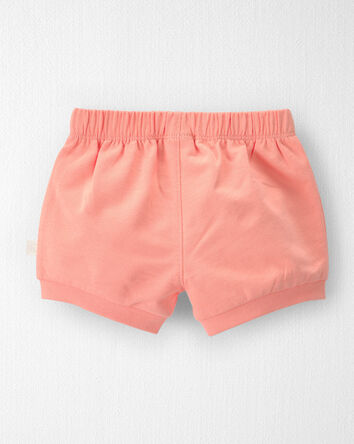 Baby Girl 2-Pack Organic Cotton Shorts, 