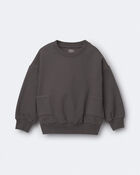 Toddler Otter Sweatshirt&trade; with Pockets - Dark Grey, image 1 of 2 slides