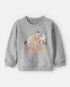 Toddler Boy Mammoth Pullover Sweatshirt - Grey, image 1 of 4 slides