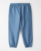 Toddler 2-Pack Organic Cotton French Terry Sweatpants, image 2 of 7 slides