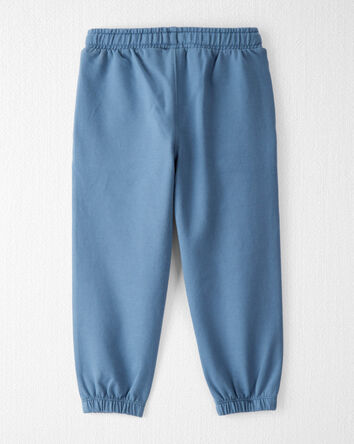 Toddler 2-Pack Organic Cotton French Terry Sweatpants, 