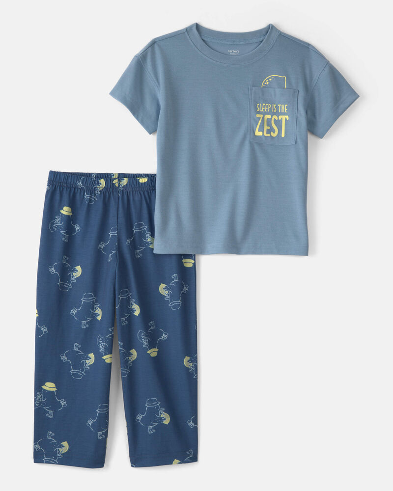 Toddler Boy Bird Loose Fit 2-Piece Pyjama Set - Blue, image 1 of 3 slides