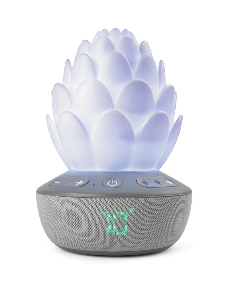 Succulent Glow Sound Machine, image 1 of 10 slides