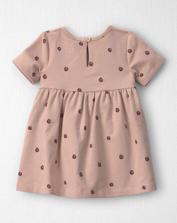 Baby Girl Organic Cotton French Terry Dress in Apples, 