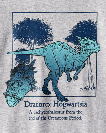 Gar&ccedil;ons - T-shirt graphique &agrave; manches longues Dinosaure - Gris, 