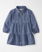 Toddler Girl Organic Cotton Denim Dress, image 1 of 5 slides
