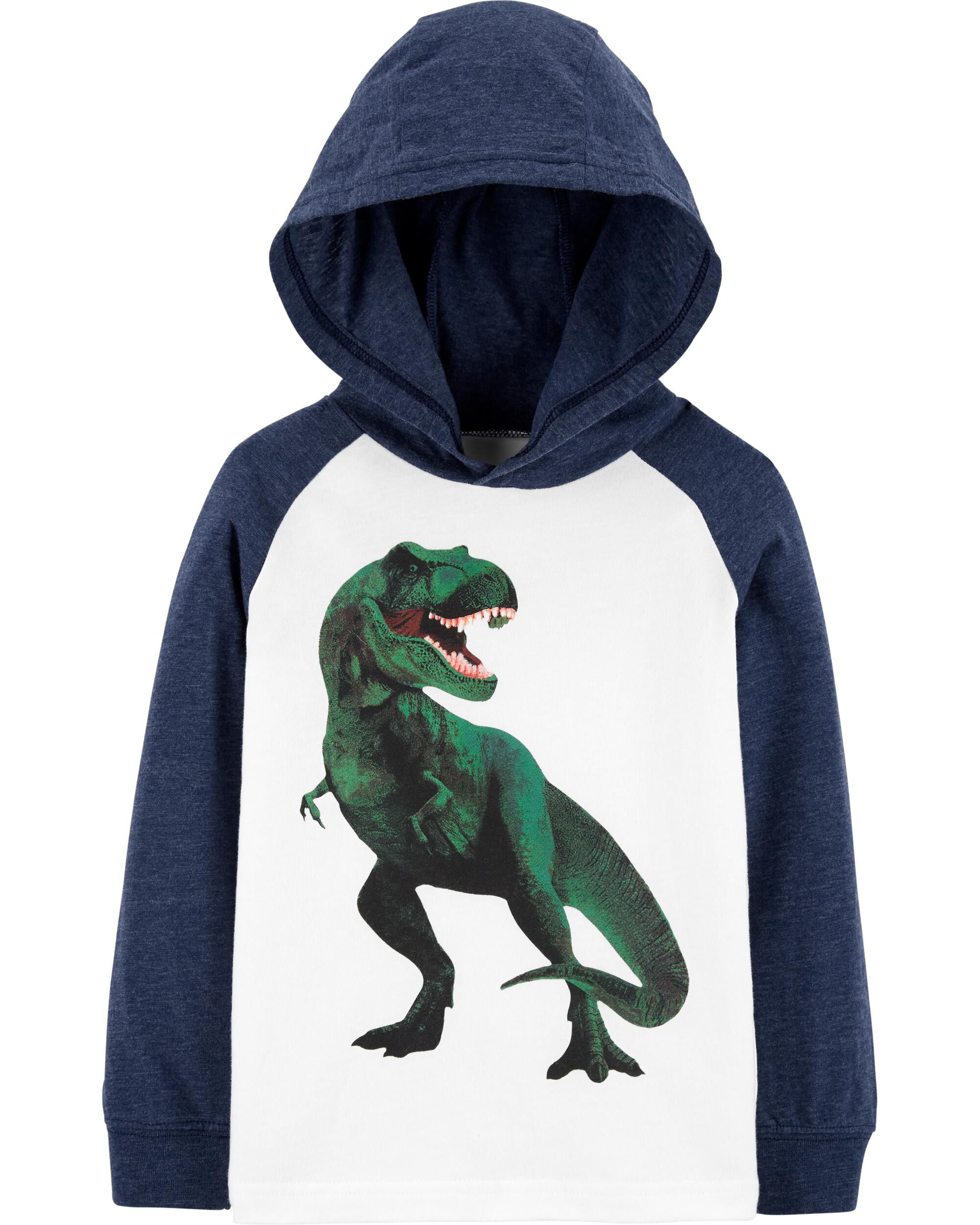 Hoodies with dinosaurs clearance