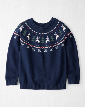 Kids Organic Cotton Fair Isle Sweater Knit Pullover, 