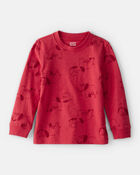 Toddler Boy Mammoth Long-Sleeve Graphic Tee - Red, image 1 of 3 slides