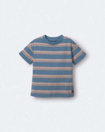 Toddler Relaxed Tee in Stripes - Slate Blue/Brown, 
