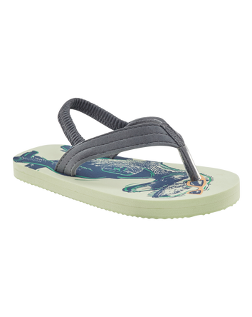 Dinosaur Flip Flops, 