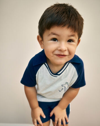 Toddler Boy Alligator Polo Shirt - Blue/Grey, 
