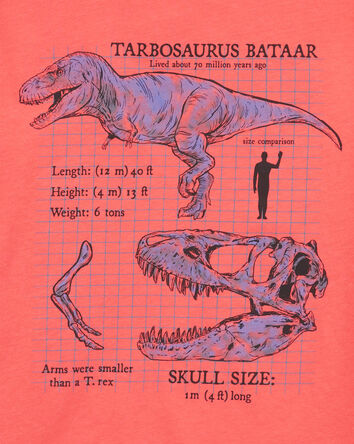 Dinosaur Graphic Tee, 
