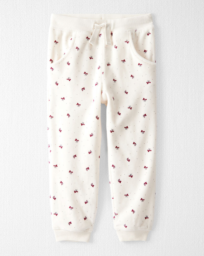 Toddler Girl 2-Piece Organic Cotton Velour Set in Wild Rose Print, image 2 of 5 slides