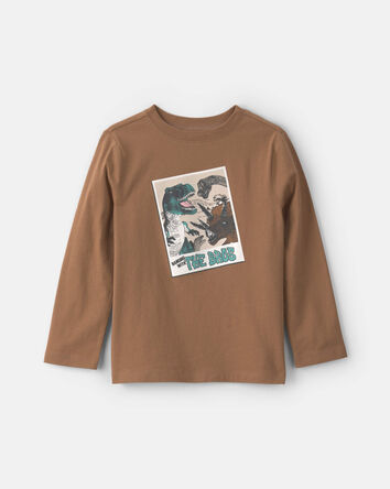 Gar&ccedil;ons - T-shirt manches longues &agrave; imprim&eacute; dinosaure - Brun, 