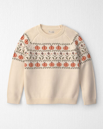 Kids Organic Cotton Fair Isle Sweater Knit Pullover, 
